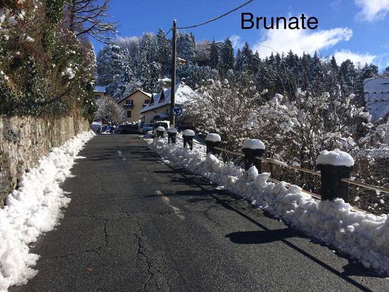 Brunate